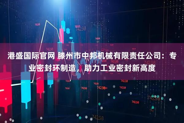 港盛国际官网 滕州市中邦机械有限责任公司：专业密封环制造，助力工业密封新高度
