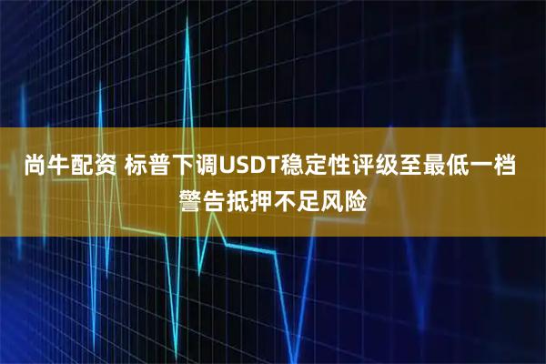 尚牛配资 标普下调USDT稳定性评级至最低一档 警告抵押不足风险